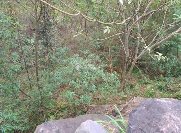 lote 34, · Terreno em rua silenciosa bairro Linha Imperial, Nova Petrópolis RS