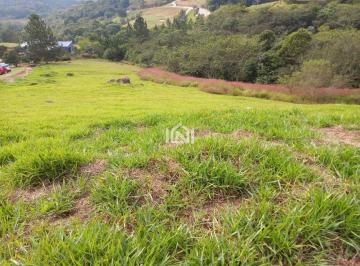 terreno a venda vila da mata  visao ampla terreno · Terreno à venda - na Vila Darcy Penteado (Mailasqui)