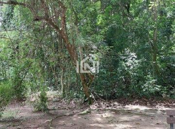 Terreno plano em sua entrada. · Terreno à venda - na Granja Viana