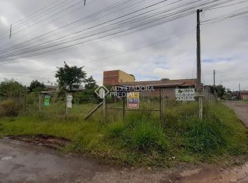 446923_il16D4_44692365329ec6b37b0.jpg · Terreno alto