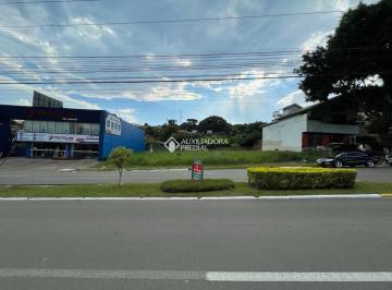 417053_im6PQ3tL3_417053645d4b44e5f8f.jpg · Amplo Terreno plano no bairro Ideal