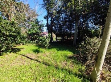 438548_i89nD11wZ0b31M84_43854864dd14410ee7d.jpg · Terreno no bairro Lomba Grande