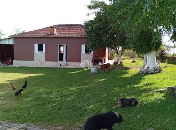 501207_il72H38SQC2W57_50120765bd21d7dbed0.jpg · Chácara com 2 casas à venda no bairro Santo Antão com 18 hectares de terra.