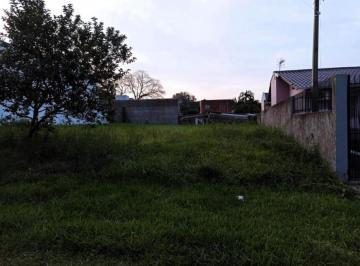 491908_iFN5353msd15AD_49190866c4b4444f65e.jpg · Terreno plano com 317 metros quadrados no Bairro Primavera!