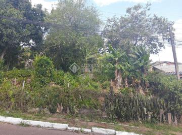 311432_i6B07o3F9WCZXxO_3114325e47e9c9b6797.jpg · Terreno no bairro São Jorge