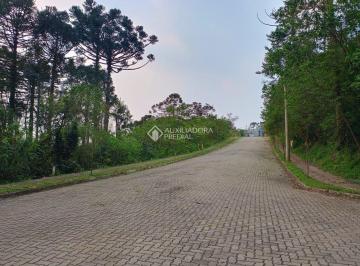 vista Rua Bosque das Coníferas do fim da rua em direção ao começo · Terreno acima do nível da Rua. Nova Petrópolis RS. Ensolarado