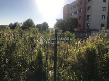 280421_i30n6N36162JS5q_2804215c11408c95f5a.jpg · Terreno no bairro Nonoai