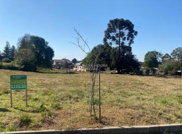 487802_iCFwA78oe8Q2481_48780266a15ac267b06.jpg · Terreno no bairro Centro