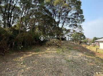 491777_i8Dl88J8Ml883U_49177766c3926ad0c71.jpg · Terreno no bairro Centro