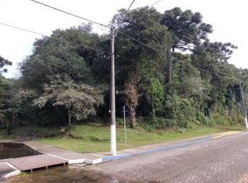 445579_i82COa2j254jF2G2mDdY8_44557965206a4df38f7.jpg · Terreno no bairro São Bernardo