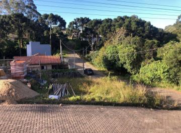 445686_i925L31n4B5o_4456866523602fb1a88.jpg · Terreno no bairro Centro