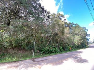 445642_i59O05_4456426521d166895a2.jpg · Três terrenos localizados no Bairro São Bernardo em São Francisco de Paula