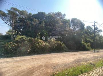 492158_i5Z5jk5KOG_49215866c63493a2c98.jpg · Terreno no bairro São Bernardo