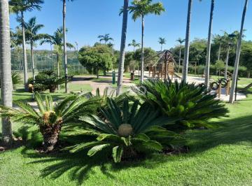 0 · terreno à venda em Loteamento Residencial Entre Verdes (Sousas)