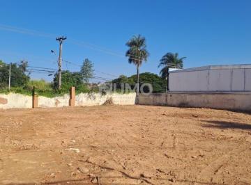 0 · terreno à venda em Jardim das Paineiras