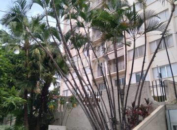 0 · apartamento à venda em Cambuí