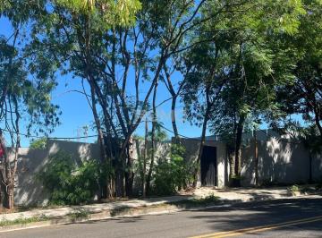 0 · casa para aluguel em Jardim das Paineiras