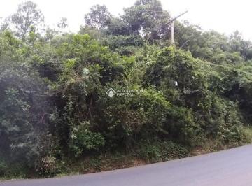 421664_i7uD89eS22e8K269_42166464890b4da47cd.jpg · Terreno DESOCUPADO com área de 10.510,277m²