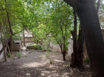 0 · terreno para aluguel em Nova Campinas
