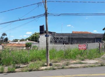 0 · terreno á venda e para aluguel em Nova Campinas