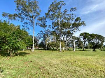 785dad7e-d53b-49d9-ad69-37ae34843c09 · Site com 2 casas residenciais A Venda - Canasvieiras, Florianópolis SC