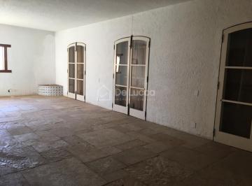 0 · casa para aluguel em Nova Campinas