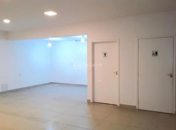 0 · casa para aluguel em Cambuí