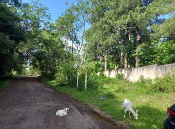 444415_iL47iqq1n4k5v_44441565747c9a75c34.jpg · Terreno no bairro Belém Novo