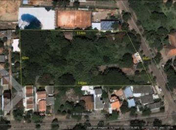 Terreno Frederico - 001 · Terreno na Nonoai.