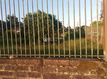WhatsApp Image 2024-01-22 at 18.49 · Terreno no bairro Arroio da Manteiga