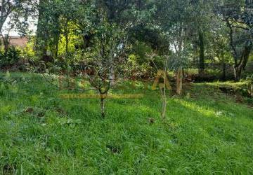 d063ff3be75112ede105050ca0943f105707b8e7.jpg · Terreno comprar Bairro Panazzolo
