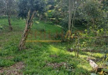 bd600e52259455ca9f8c3349a7fd70be796299e2.jpg · Terreno comprar bairro Panazzolo