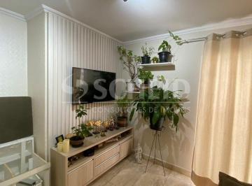 Apartamento · 67m² · 2 Quartos · 1 Vaga · Apartamento 2 dormitórios e 1 vaga à venda na Vila Mascote