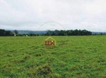 5d6094c3e752582de4c3eed963d5977f861a1bbe · Área à venda, 20000 m² por R$ 500.000,00 - Cruz Pequena - Pindamonhangaba/SP