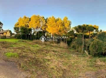 384993_id4Ik3aC42X4i2kPsEz_384993632368e4ad1b0.jpg · TERRENO BEM LOCALIZADO EM SÃO FRANCISCO DE PAULA.
