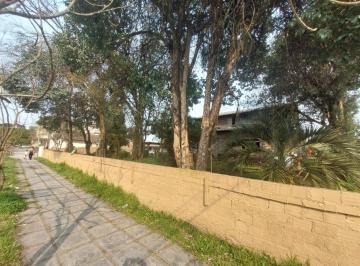 494109_i6X4Luq178GB1_49410966d3698093dfa.jpg · Terreno no centro de Canela