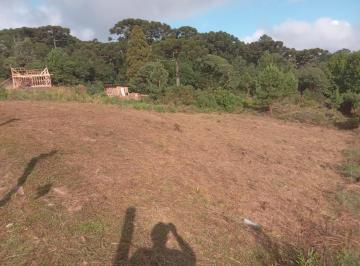 472020_inV5I4JB248_472020661421286c224.jpg · Lote  em São Francisco de Paula