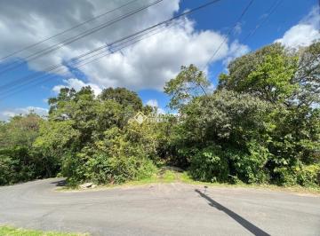 384815_iy1z277572439kDTs33w_3848156321d2bc71c97.jpg · TERRENO NA VÁRZEA GRANDE EM GRAMADO.
