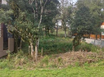 493933_ir56P6BS2o7L3j1Yoy_49393366d1fb5edbb48.jpg · Terreno em Gramado