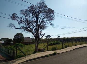 383482_i5RWu224XN0o6dZMF79_383482630d01b01a992.jpg · TERRENO PRÓXIMO AO CENTRO EM CANELA