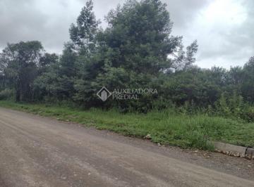 367716_i36D0Q1nD4079_3677166234e3ecb590b.jpg · TERRENO EM CANELA RS NO BAIRRO ALPES VERDES