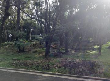 471886_is6C7x792w62arD9e5_471886661149c241bfc.jpg · Lotes no condominio O Bosque em Gramado