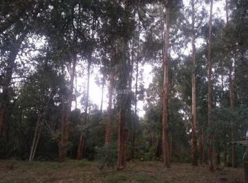432424_inr628h6SW75T1P_43242464c7b87a48a00.jpg · Terreno São Francisco de Paula