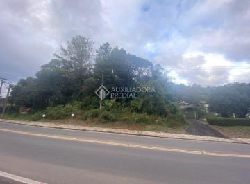 373493_iK0Jt8G64Q046k071p9_3734936283feaa85fc6.jpg · TERRENO  EM GRAMADO