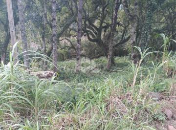 608920_iv7b2z_6089206698288bf40ab.jpg · Terreno próximo ao centro em Nova Petróplis