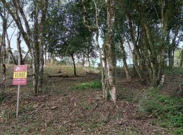 608960_ii1w8b_608960669829216309c.jpg · Terreno com 813m² em Nova Petrópolis