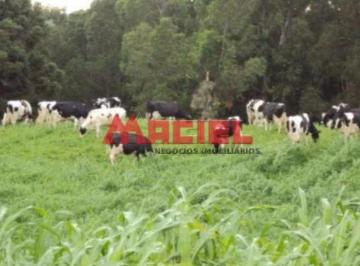 Rural · 350m² · LINDA FAZENDA EM MONTEIRO LOBATO
