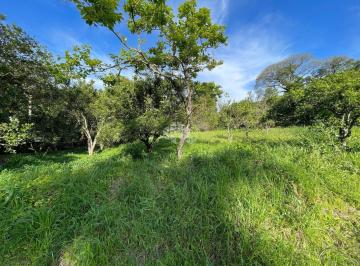 Terreno · 300m² · Terreno no Renascença