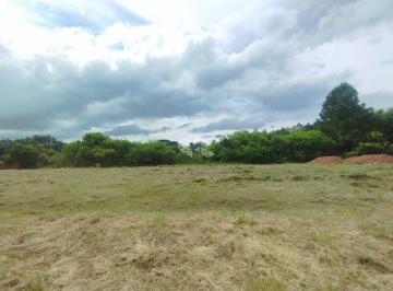 507754_iAmibVpQ44n7xv42_50775465df8a83d966d.jpg · Terreno plano em Santa Cruz do Sul