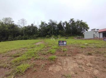 438422_iw6o5z_43842264e66c9c44a32.jpg · Terreno residencial com 350m² de área total em Santa Cruz do Sul